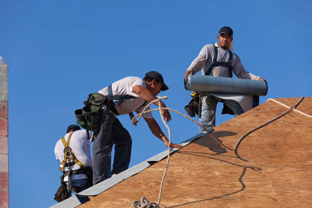 Best Roof Gutter Cleaning  in Henderson, GA